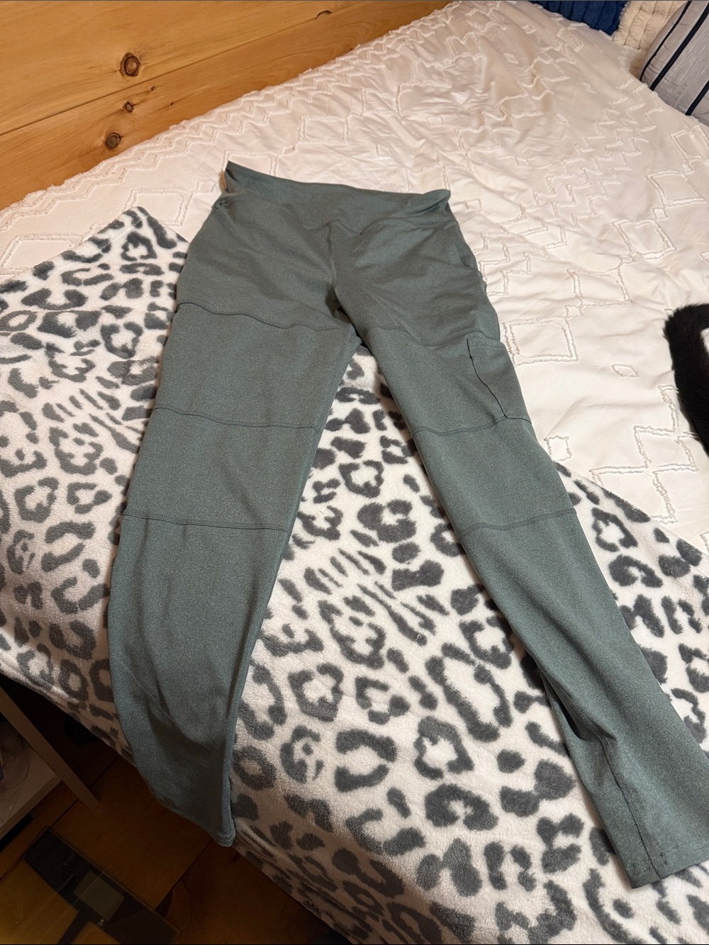 Athleisure High-Waist Leggings in Sage Green